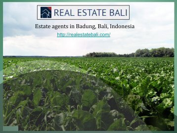 Land for Sale in Ubud