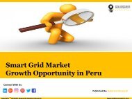 smart grid market growth opportunities in peru