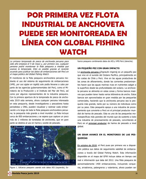 REVISTA PESCA JUNIO 2019