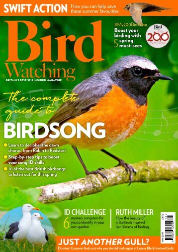 BirdWatching-May19