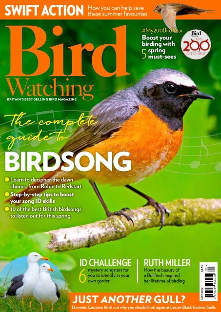 BirdWatching-May19