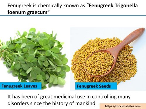 Fenugreek