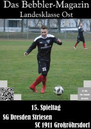 Das Bebbler-Magazin - 15. Spieltag 2018/2019