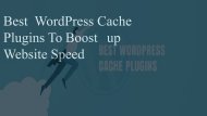 Worpress cache plug in ppt