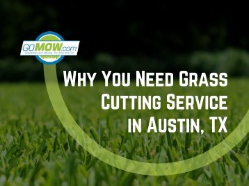 Why You Need Grass Cutting Service in Austin, TX