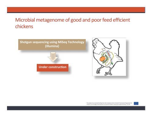 Pigs-and-poultry_Improving-feed-efficiency_Ruminomics-ECOFCE-workshop-Aberdeen-16-June-2014