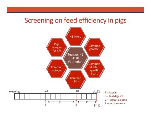 Pigs-and-poultry_Improving-feed-efficiency_Ruminomics-ECOFCE-workshop-Aberdeen-16-June-2014
