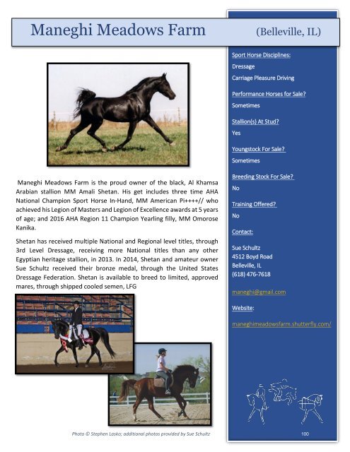 Arabian Sport Horse Alliance 2018-2019 Directory & Yearbook