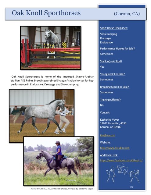 Arabian Sport Horse Alliance 2018-2019 Directory & Yearbook