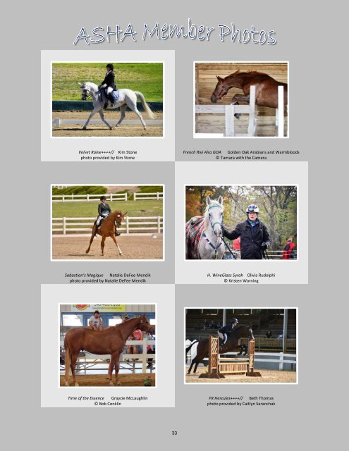 Arabian Sport Horse Alliance 2018-2019 Directory & Yearbook