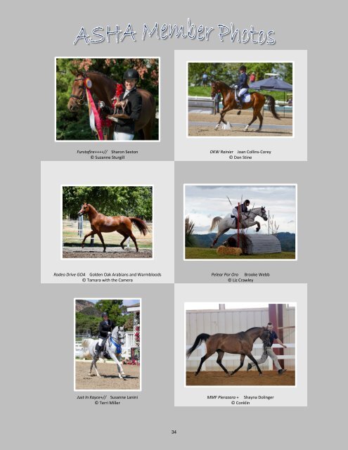 Arabian Sport Horse Alliance 2018-2019 Directory & Yearbook