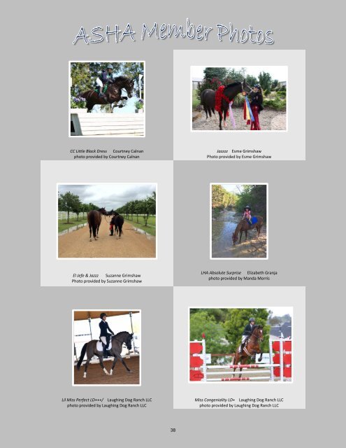 Arabian Sport Horse Alliance 2018-2019 Directory & Yearbook