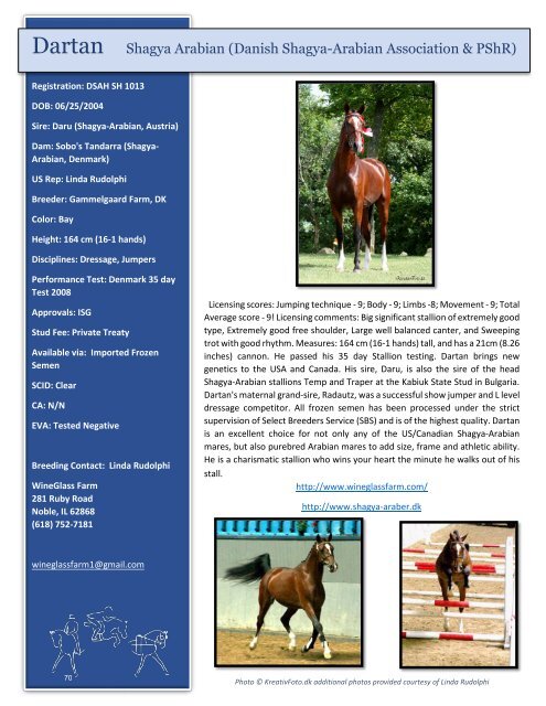 Arabian Sport Horse Alliance 2018-2019 Directory & Yearbook