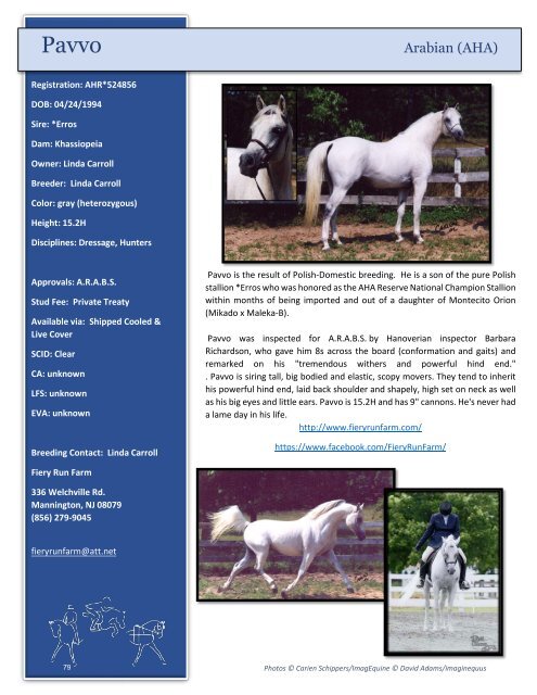 Arabian Sport Horse Alliance 2018-2019 Directory & Yearbook