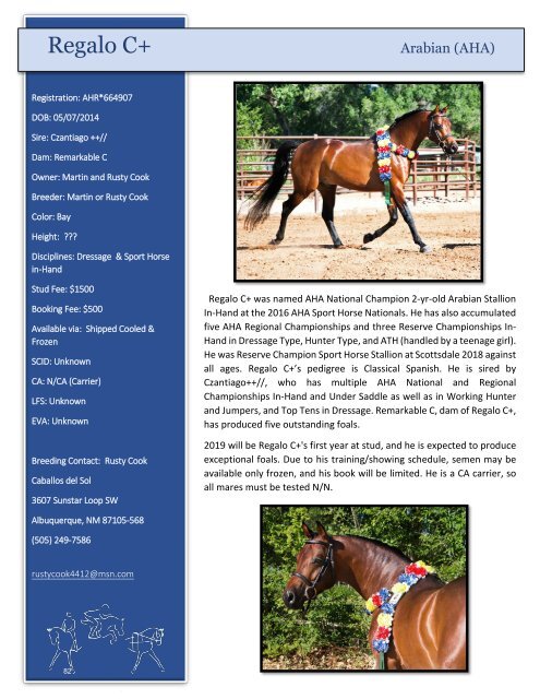 Arabian Sport Horse Alliance 2018-2019 Directory & Yearbook