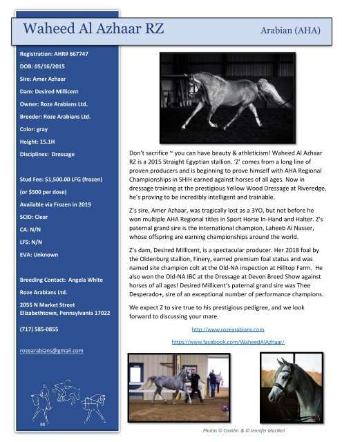 Arabian Sport Horse Alliance 2018-2019 Directory & Yearbook