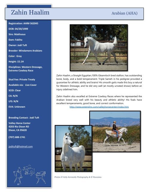 Arabian Sport Horse Alliance 2018-2019 Directory & Yearbook