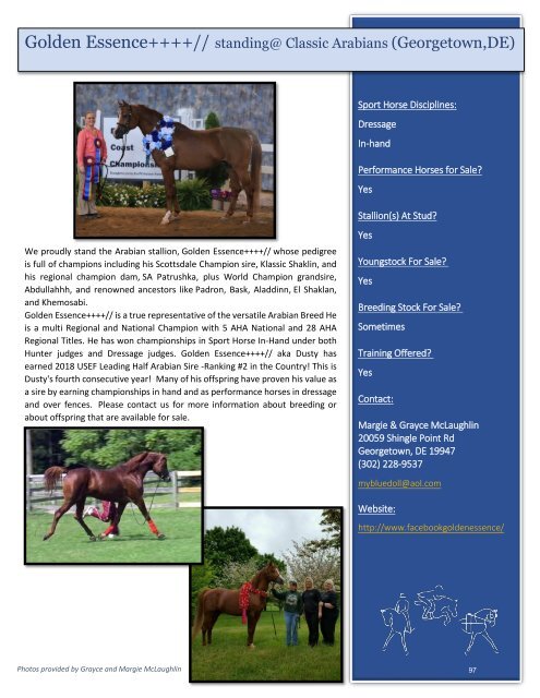 Arabian Sport Horse Alliance 2018-2019 Directory & Yearbook