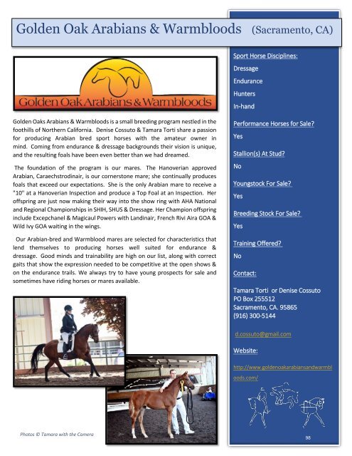 Arabian Sport Horse Alliance 2018-2019 Directory & Yearbook