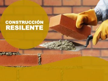 Armando Iachini - Construcción Resilente