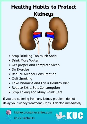 Healthy Habits to Protect Kidneys