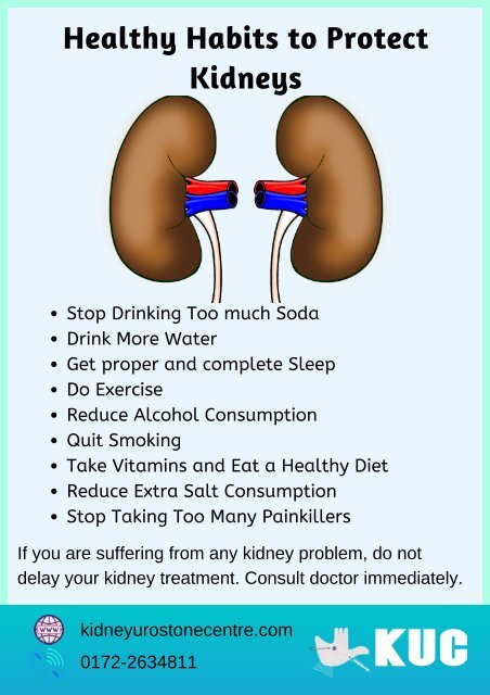Healthy Habits to Protect Kidneys