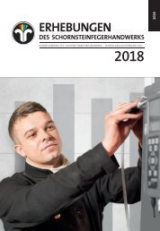 Erhebungen des Schornsteinfegerhandwerks 2018