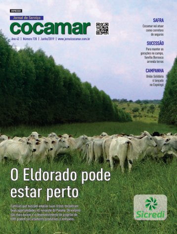 Jornal Cocamar Junho 2019