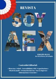 Revista Aex_Mayo 2019