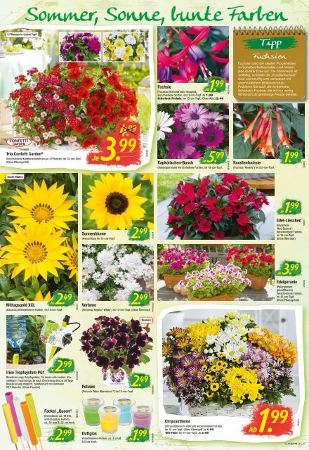 Floraland Hagebaumarkt KW 23