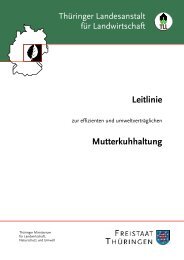 Leitlinie Mutterkuhhaltung - Bundesverband Deutscher ...