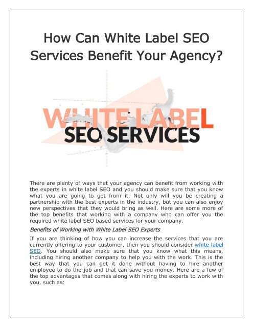 How Can White Label SEO Services Benefit Your Agency