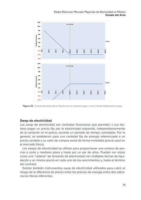 Redes Eléctricas: Mercado Mayorista de Electricidad en México