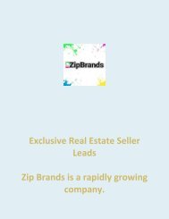 Exclusive Real Estate Seller Leads - ZipBrands