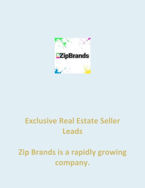 Exclusive Real Estate Seller Leads - ZipBrands