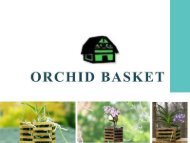 Orchids Look Beautiful in Orchid Basket
