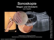 Sonoskopie Magen Darm nach Caselitz