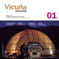 Revista Vicuña - Máximo Díaz Arévalo
