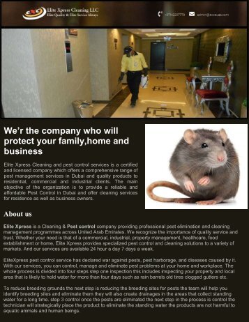 Commercial Pest Management Dubai