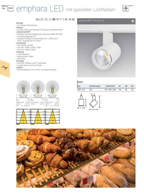 REGIOLUX_Katalog_Lichtsysteme_2019-20_DE