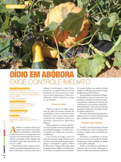 Revista digital hortifruti  maio 2019