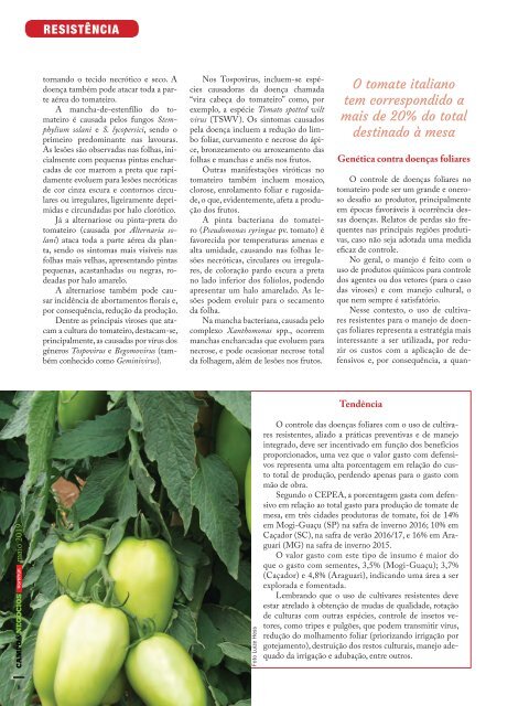 Revista digital hortifruti  maio 2019