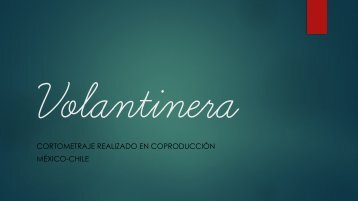 Volantinera (PRESUPUESTO)