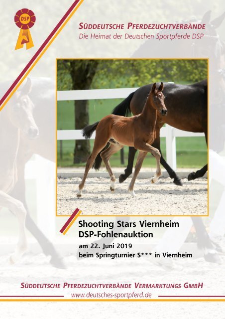 Dsp Fohlenauktion Shooting Stars Am 22 Juni 2019 In Viernheim