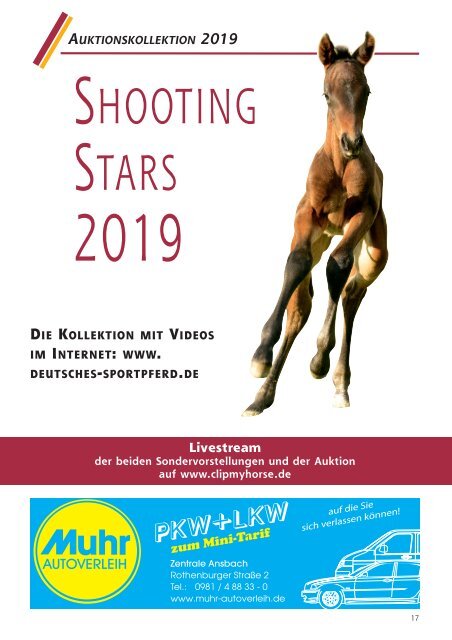 DSP-Fohlenauktion Shooting Stars am 22. Juni 2019 in Viernheim