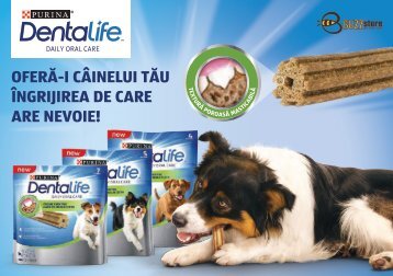 BuzzStore - Campanie Purina - Dentalife - 2019-06 - Ghid de BUZZ - MAIL