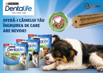 BuzzStore - Campanie Purina - Dentalife - 2019-06 - Ghid de BUZZ - DESKTOP