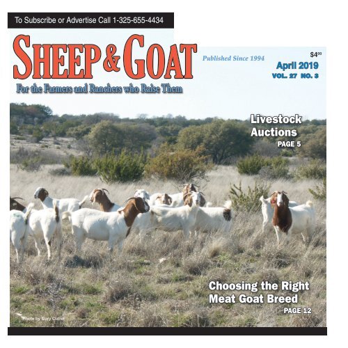 Sheep and Goat April 2019