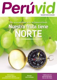 REVISTA PERUVID 2 