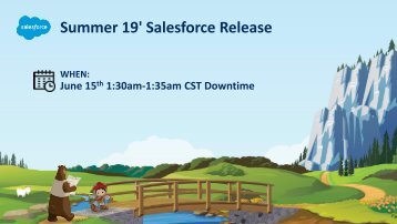 SFDC Summer 19 Release_Kat Notes